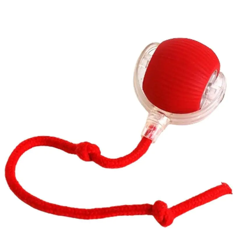 Smart Pet Ball