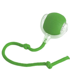 Smart Pet Ball
