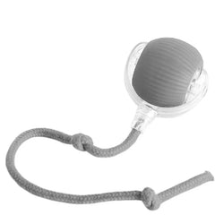 Smart Pet Ball
