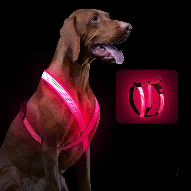 LED Dog Harness